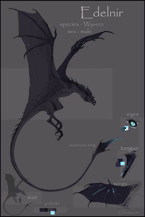 Wyvern Fantasy Art, Wyvern Oc, Wyrm Dragon, Wyvern Dragon, Dragon Man, Dragon Riders, Mythical Monsters, Mystical Animals, Dragon Artwork Fantasy