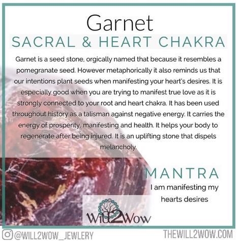 Star Garnet Meaning, Garnet Crystal Meaning, Crystal Bundles, Garnet Meaning, Stone Meanings, Crystal Seashells, Crystals For Manifestation, Star Garnet, Crystal Guide