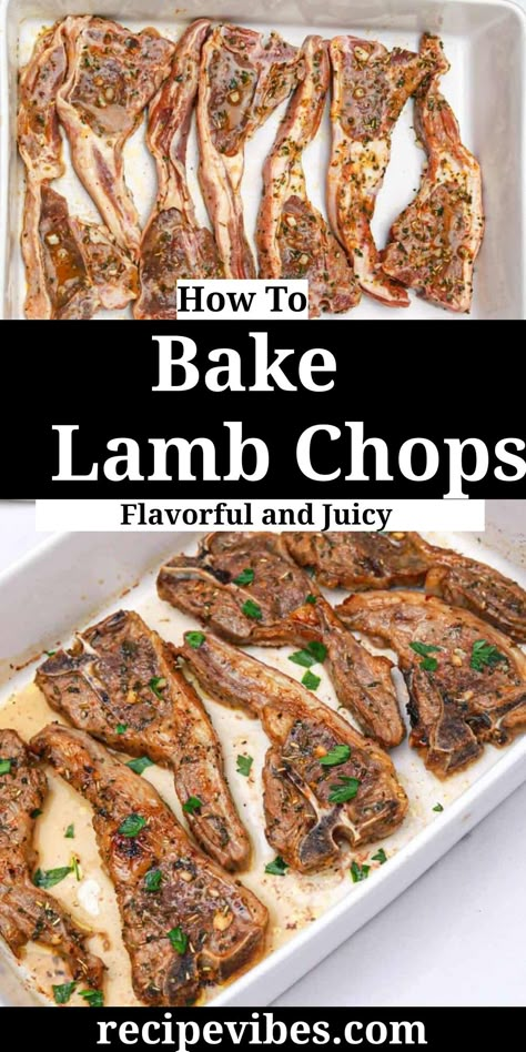 Oven Cooked Lamb Chops, Cooking Lamb Chops In The Oven, Lamb Rib Chops Recipes Oven, Baked Lamb Loin Chops Oven, Tender Lamb Chops Recipe, Lollipop Lamb Chops Recipe Oven, How To Prepare Lamb Chops, Lamb Chop Oven Recipes, How To Make Lamb