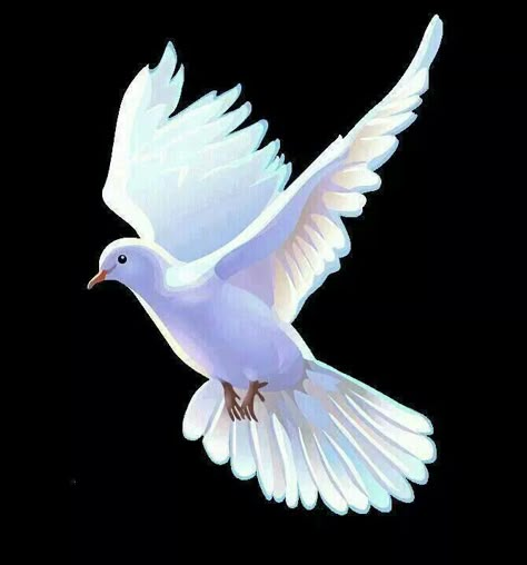 Holy Spirit Art, Dove Images, Dove Pictures, Birds In The Sky, Beach Background Images, Pink Background Images, Photo Background Images Hd, Love Background Images, Background Images For Quotes