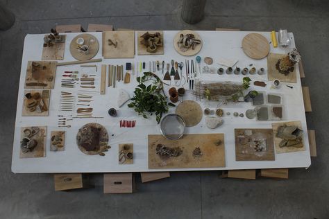 Reggio Children - In the Shape of Clay Atelier Reggio Emilia Provocations, Reggio Emilia Activities, Reggio Atelier, Reflection Room, Nature Based Classroom, Provocations Reggio, Reggio Provocations, Early Childhood Education Classroom, Reggio Children