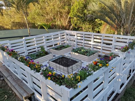 Pallet Projects Garden, Diy Garden Fence, Pallet Fence, Garden Wallpaper, Pallets Garden, Pallet Garden, Garden Area, Home Vegetable Garden, Vegetable Garden Design