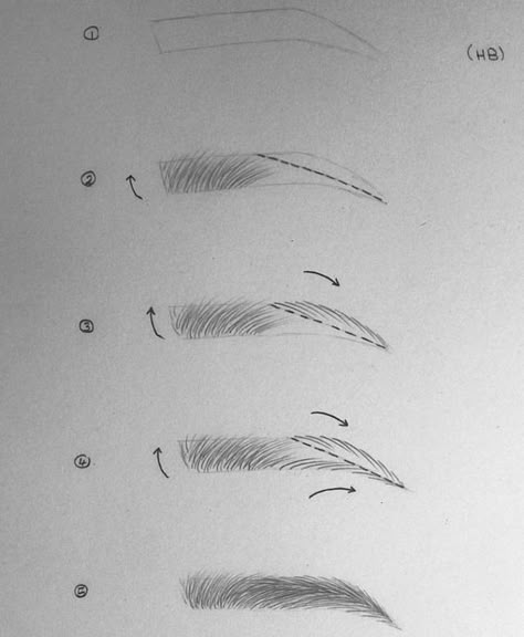 Eyebrow Drawing Tutorial Step By Step, Eyes And Eyebrows Sketch, Brows Tutorial Drawing, How To Make Eyes Drawing Step By Step, How To Draw Eyes And Eyelashes, Drawing Of Eyebrows, Eyebrow Shaping Drawing, How To Make Eyebrows Drawing, How To Draw Brows Step By Step