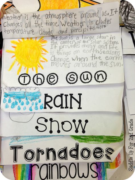 Weather Unit Study, Teaching Weather, Weather Lessons, Second Grade Science, Weather Science, Weather Theme, Weather Unit, 1st Grade Science, First Grade Science