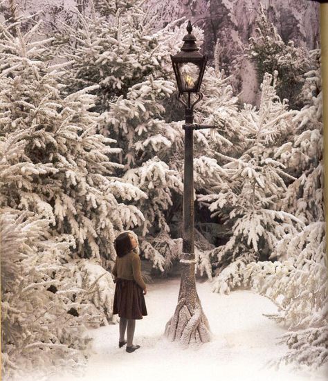 Lucy by the Lamp-post - Narnia Fans Narnia Lamp Post, Narnia Lucy, Narnia Movies, Lucy Pevensie, Narnia 3, Image Film, Chronicles Of Narnia, Winter Beauty, Fictional World