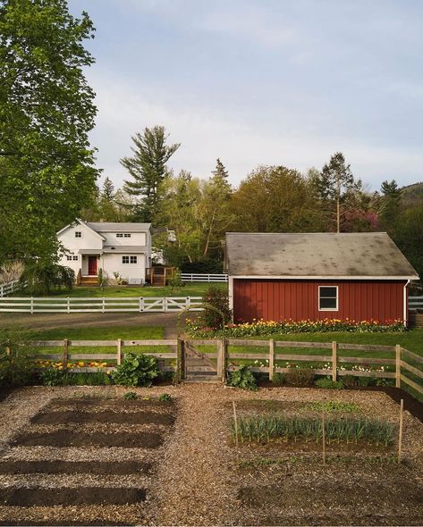 Backyard Farm Aesthetic, Apple Orchard House, Corn Farm Aesthetic, Farmhouse Vibes Aesthetic, Homestead Woman Aesthetic, Home In Countryside, Dream Yard Country Living, House In Open Field, Cottage On Farm