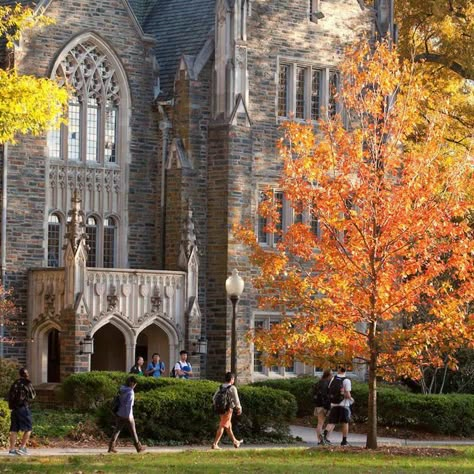 Duke University Aesthetic, Gilmore Girls Seasons, Fall Mood Board, Autumn In New York, Fall Semester, Season Of The Witch, Best Seasons, Autumn Cozy, Autumn Aesthetic