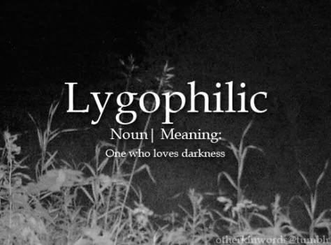 One who loves darkness Words Definitions, Unique Words Definitions, Words That Describe Feelings, Master Thesis, Uncommon Words, Fancy Words, One Word Quotes, Weird Words, Good Vocabulary Words