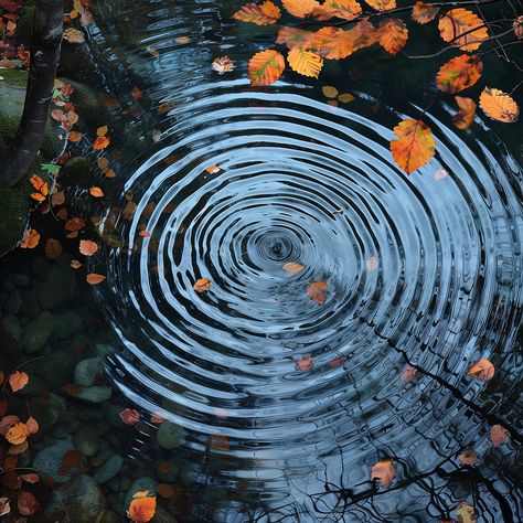 "\"Autumnal Echoes\" is a captivating digital print that harmonizes the tranquil beauty of nature's ripples with the rustic charm of fall. This square-format artwork features a serene pond surface, where each ripple tells the tale of a fallen leaf and the changing seasons. 🍁 Reflective Beauty: The perfect blend of motion and stillness, this print captures the enchanting dance of water and light, inviting contemplation and calm into your space. 🌟 Poetic Interpretation: Inspired by the poetry of nature, the art print serves as a metaphor for the ripples we create in the world, seen and unseen. 🖼️ Square Sophistication: Exclusively available in a square format, this print complements any room seeking a touch of nature's meditative essence. 📥 Instantly Accessible: Upon purchase, receive a Art References Photography Landscape, Body And Nature Art, Nature Photography Leaves, Cool Nature Photography, Contrast In Nature, Light And Space Art, Open Photography, Layers In Nature Art, Nature Photography Inspiration