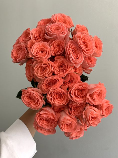 Coral Aesthetic, Rose Spray, Coral Colour, Coral Roses, Rosa Coral, Coral Flower, Rose Varieties, Coral Rose, Rose Arrangements