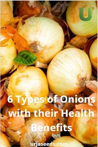 Health Benefits Of Onions, Onion Growing, Benefits Of Onions, Onion Benefits, Onion Benefits Health, Types Of Onions, Benefits Of Food, Growing Onions, Planting Onions