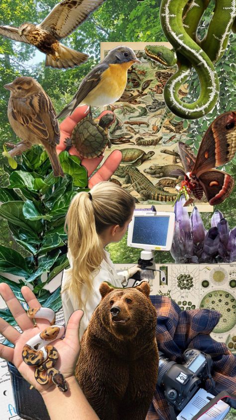 Vet School Motivation, Vintage Biology, Environmental Scientist, Conservation Biology, Wildlife Biologist, Nature Collage, Eco Life, Vet Student, Nature Vintage