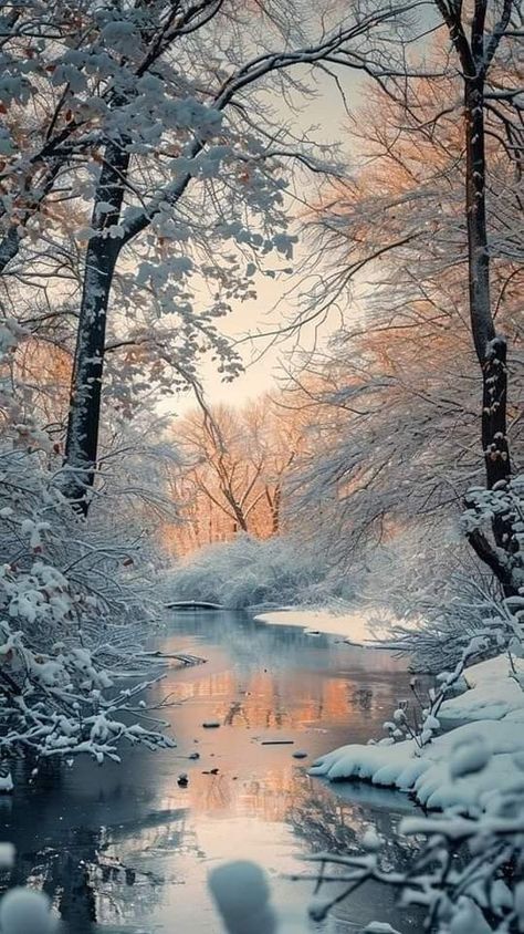 Winter Scenes Wonderland, Beautiful Winter Pictures, Winter Landscape Photography, Business Decoration, Winter Christmas Scenes, Fantasy Nature, Beautiful Winter Scenes, Snow Pictures, Winter Sunset