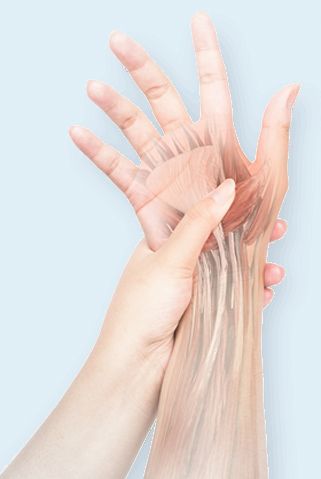 Advanced Nerve Support Numbness In Fingers, Vitamin Charts, Numbness In Hands, Krebs Cycle, Nerve Health, Peripheral Nerve, Health Topics, Nerve Pain Relief, Nerve Cell