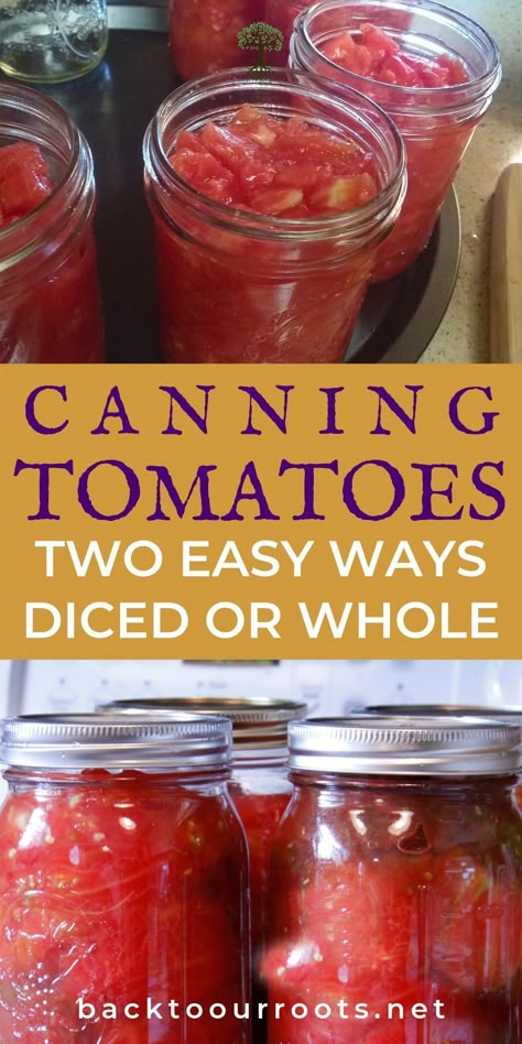 Water Bath Salsa, Canning Pantry, Salsa Canning Recipes, Canning Tomatoes Recipes, Tomato Harvest, Easy Canning, Pressure Canning Recipes, Canning Whole Tomatoes, Canning Fruit