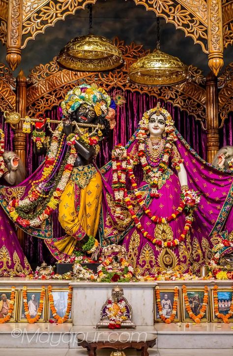 Iscon Temple Radha Krishna, Radhe Krishna Photo, Good Instagram Names, Jai Shree Radhe Krishna, Vrindavan Photography Pictures, Radha Krishna Holi, Iskcon Krishna, Album Cover Wallpaper Collage, Krishna Hindu