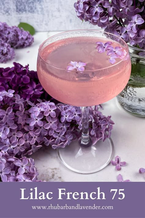 Purple Food Coloring, Purple Food, French 75, Floral Cocktails, Spring Cocktails, Cocktail Ideas, Fancy Drinks, Mixed Drinks Recipes, Spring Blossoms