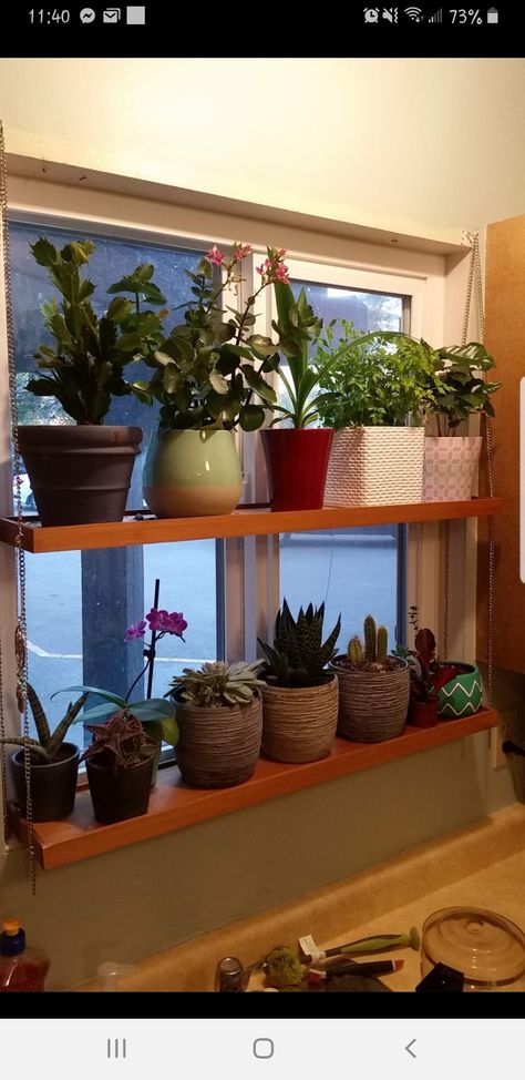 Window Hanging Plants, Plant Shop, Kitchen Window, Window Hanging, Hanging Plants, Indoor Plants, Planter Pots, Plants