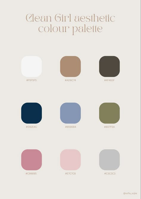 Cloths Color Palette, Colour Palette Inspiration Fashion, Silver Complimentary Colors, Color Palette Clothing Brand, Fashion Design Color Palette, Clean Branding Aesthetic, Clean Girl Aesthetic 2024, Minimalist Wardrobe Color Palette, Color Coded Closet Aesthetic