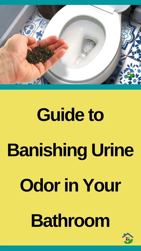 Urine odor is one of the most annoying and unpleasant odors that you thought is hard to get rid of. Let us prove you wrong. Since every problem has a solution, we would like to suggest the perfect solutions to effectively eliminate unpleasant odors and keep the bathroom clean and fresh. I-Get rid of urine […] Toilet Smells Like Urine, Get Rid Of Urine Smell In Bathroom, How To Get Pee Smell Out Of Bathroom, Every Problem Has A Solution, Pee Smell, Toilet Drain, Urine Odor, Lips Photo, Urine Smells