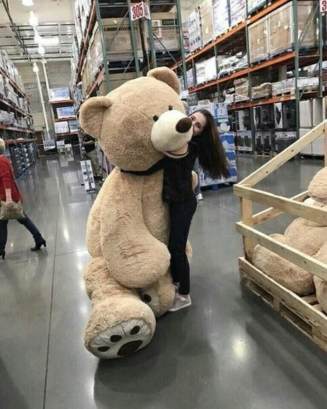 Huge Teddy Bears, Giant Stuffed Animals, Big Teddy, Giant Teddy Bear, Giant Teddy, Cute Squishies, Big Bear, Cute Stuffed Animals, Cute Toys