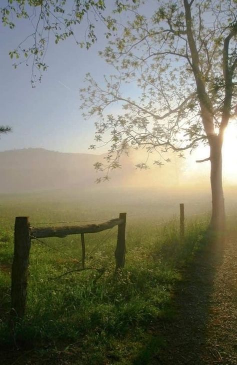 Cades Cove Tennessee, Cades Cove, Misty Morning, Sun Is Shining, Great Smoky Mountains National Park, Smoky Mountain National Park, Autumn Scenes, East Tennessee, Great Smoky Mountains