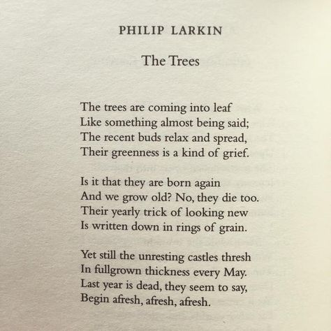 May Poems, Philip Larkin Poems, Poetic Inspiration, Nature Poems, Spring Poem, Philip Larkin, Words Aesthetic, Nature Poem, Classic Poems