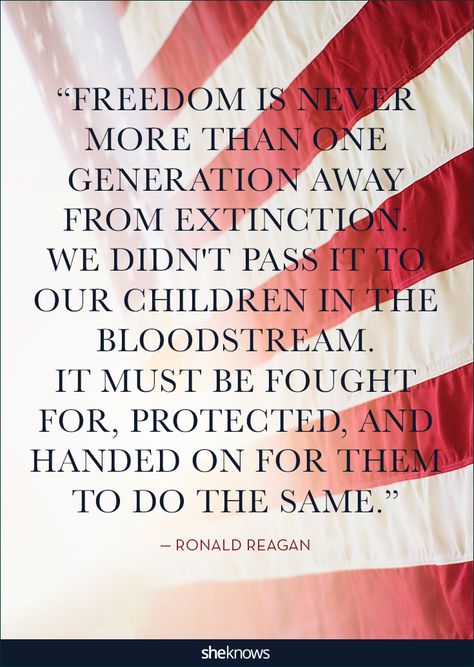 Colleen Seymour Crafts Ronald Reagan Quotes, America Quotes, Veteran Quotes, Memorial Day Quotes, July Quotes, Patriotic Quotes, Freedom Quotes, 25th Quotes, I Love America