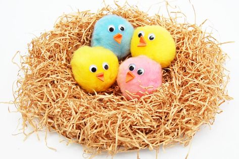 Bird Nest Craft Preschool, Nest Craft Preschool, Birds In A Nest, Nest Craft, Pompom Crafts, Bird Nest Craft, Summer Arts And Crafts, Orange Craft, Craft Preschool