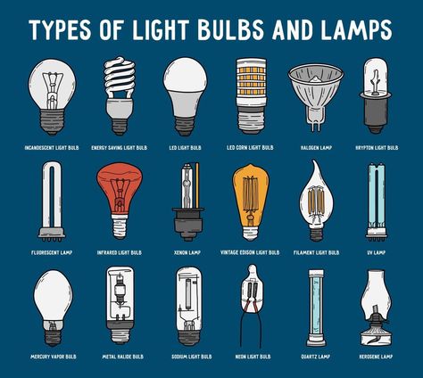 Types of light bulbs and lamps set in doodle style. Vector icons collection of electric lighting fixtures. Incandescent, energy-saving, LED and fluorescent lightbulbs infographic on a blue background. Types Of Light Bulbs, Types Of Lamps, Lightbulbs, Filament Bulb Lighting, Light Bulb Lamp, Incandescent Light Bulb, Fluorescent Lamp, H Design, Halogen Lamp