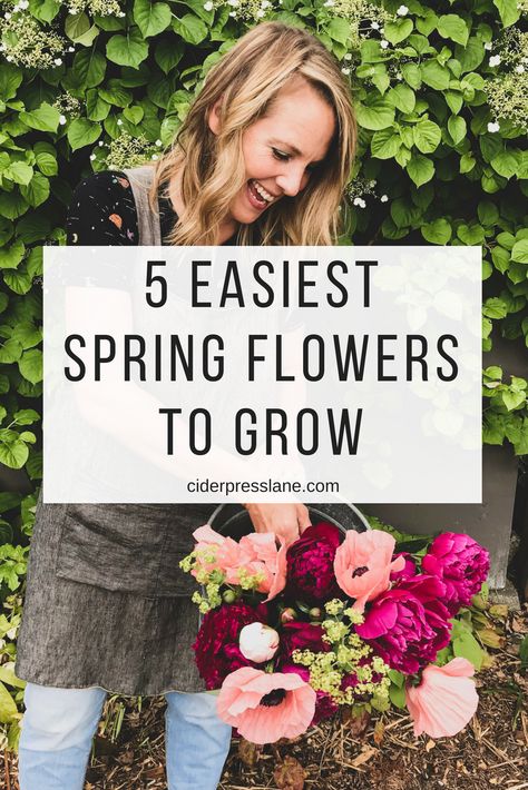 5 Easiest Spring Flowers to GROW! — ciderpress lane How To Grow Daliah Flower, South Facing Flower Bed Ideas, Flowers To Grow In A Greenhouse, What To Plant In The Spring, Flower Garden Around House, Flower Garden In Front Of House, Easy To Grow Flowers From Seeds, Flowers Around Shed, Flowers That Bloom In Spring