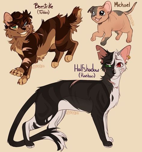 beeduo as warrior cats?? art: @ luxiqui_ #ranboofanart #tubbofanart #beeduofanart #beeduo #ranboo #tubbo Roblox Warrior Cats Oc Ideas, Roblox Warrior Cats, Warrior Cats Oc Ideas, Warrior Cats Oc, Cat Fanart, Cat Warriors, Warrior Cats Series, Warrior Cats Books, Warrior Cats Fan Art