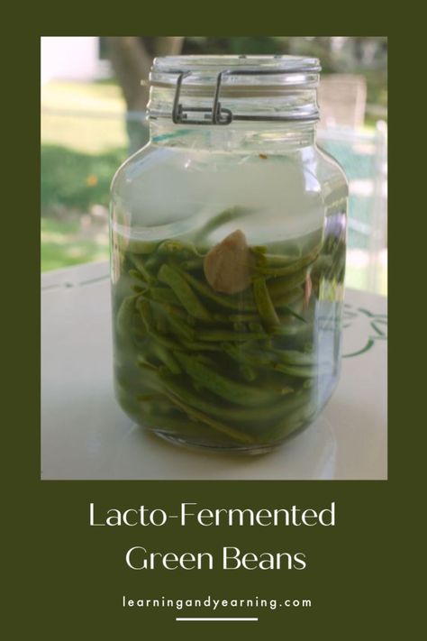 Homemade lacto-fermented green beans! Fermented Green Beans Recipe, Probiotic Lemonade, Fermented Green Beans, Preparedness Ideas, Honey Mustard Salad Dressing, Mustard Salad Dressing, Preserving Vegetables, Fermenting Weights, Fermenting Jars