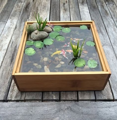 Miniature Koi Pond, Container Pond, Small Water Gardens, Kolam Koi, Container Water Gardens, Patio Pond, Taman Air, Indoor Water Garden, Diy Pond