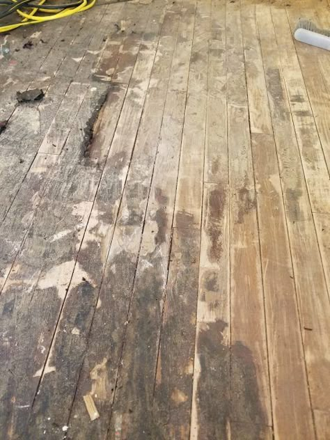 Hardwood Floor Refinishing | 9 Easy Steps Hardwood Floor Diy Restore, Sanding Old Wood Floors, How To Refinish Wood Floors, Diy Floor Remodel, Staining Floors, Diy Hardwood Floor Refinishing, Sanding Floors, Hardwood Floors Diy, Diy Hardwood Floor