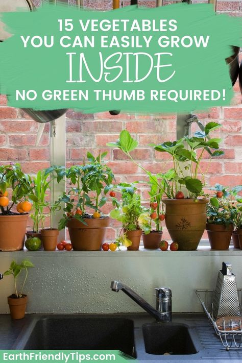 Growing Vegetables Indoors, Growing Vegetables In Pots, Indoor Vegetables, Tattoo Plant, Inside Garden, Vegetable Garden Diy, Indoor Vegetable Gardening, Inside Plants, Growing Plants Indoors