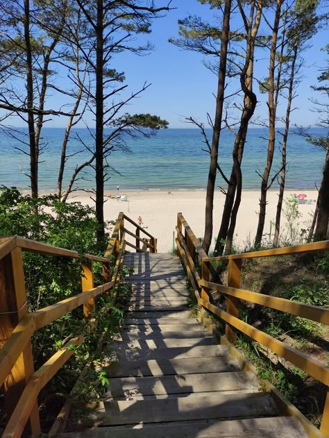 Cottage Core Picnic, Images Of Sun, Beach Entry Pool, Summer Cabin, English Summer, Wild Poppies, South Padre Island, Clear Blue Sky, Rocky Mountain National Park