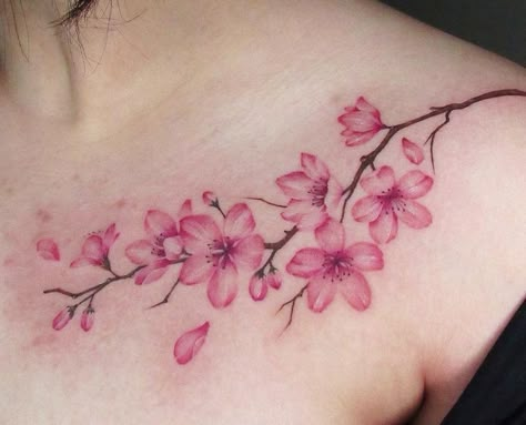 Elegant Cherry Blossom Tattoo, Cherry Blossom Tattoo On Shoulder, Coloured Floral Tattoo, Cherry Blossom Branch Tattoo Design, Sakura Tattoo Shoulder, Cherry Blossom Cat Tattoo, Cherry Blossom Shoulder Tattoo For Women, Cherry Flowers Tattoo, Cherry Blossom Tattoo Women