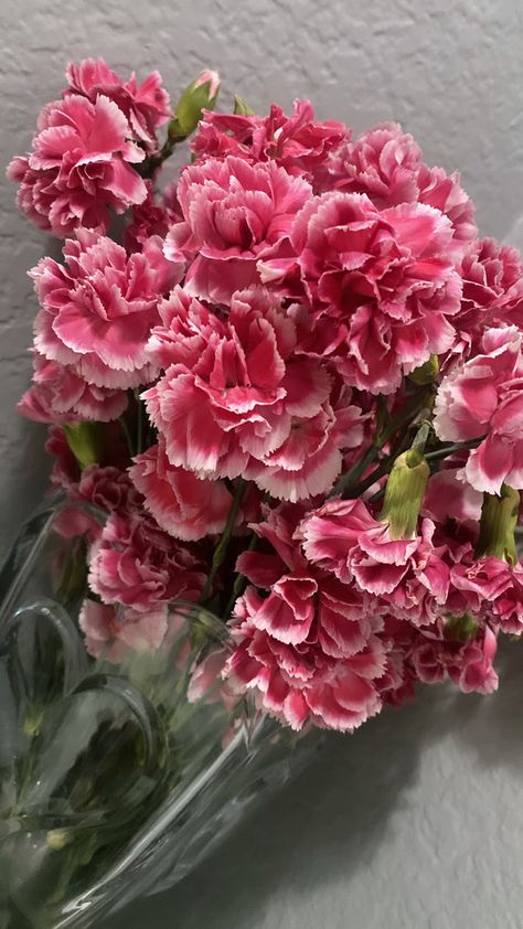 Carnation Flower Bouquet Simple, Pink And White Carnations, Carnation Flower Aesthetic, Carnations Aesthetic, Pink Carnation Bouquet, Spray Carnation, Carnation Flower Bouquet, Carnations Bouquet, Carnations Flower