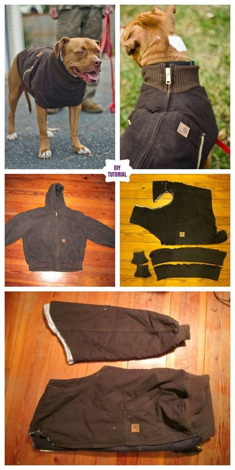 DIY Pet Coat and Sweater Free Sew Patterns & Tutorials Diy Dog Coat, Dog Jacket Patterns, Diy Dog Sweater, Dog Clothes Patterns Sewing, Dog Coat Pattern, Dogs Diy Projects, Dog Tricks, Dog Vests, Dog Clothes Diy