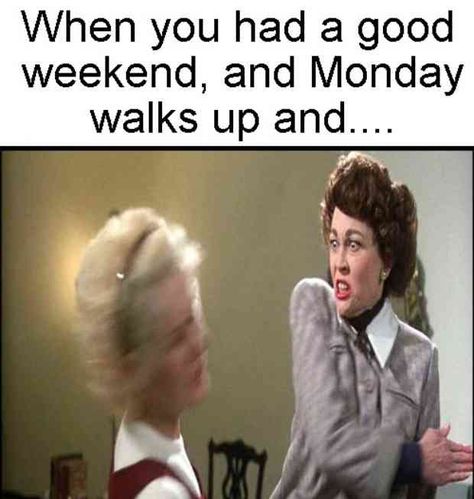 12 Monday Memes To Help You Feel Less Alone On the Worst Day Of The Week Funny Monday Images, Funny Monday Memes, Monday Humor Quotes, Friday Meme, Morning Memes, Monday Memes, Monday Humor, 9gag Funny, Monday Quotes