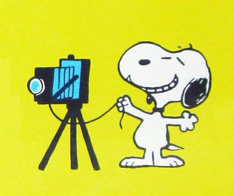 SAY CHEESE Peanut Pictures, Woodstock Charlie Brown, Peanut Gang, Peanuts Snoopy Woodstock, Snoopy Images, Peanuts Cartoon, Snoopy Quotes, Peanuts Characters, Snoopy Pictures