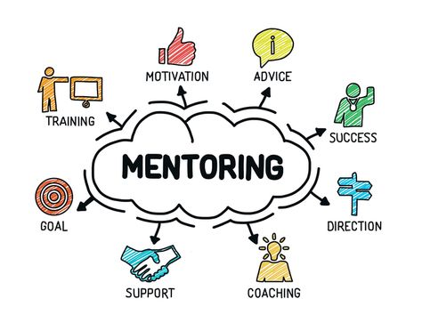 Step-by-Step: How to Design an Effective Mentorship Program (Part 2) - HR Daily Advisor Mentor Mentee, Coding Lessons, Mentor Program, Mentor Coach, Senior Management, Mentorship Program, Volunteer Work, Business Mentor, Skills Development