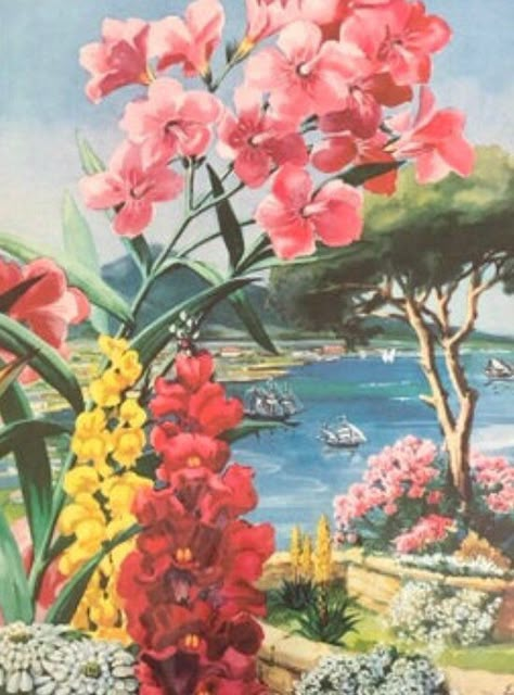 Excited to share this item from my #etsy shop: Tropical Flower Prints, Lot of 6 Prints, Vintage Ephemera, 1940 Prints 50s Tropical Aesthetic, 90s Tropical Aesthetic, Vintage Hawaiian Print, Retro Tropical Aesthetic, Vintage Tropical Aesthetic, Vintage Tropical Art, 70s Tropical, Tiki Wedding, Journal Materials