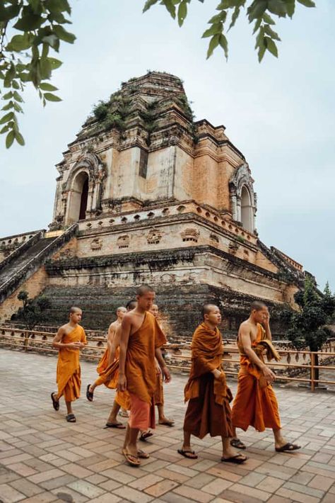 10 BEST Things To Do In Chiang Mai, Thailand 10 Thailand Aesthetic Chiang Mai, Chiang Mai Thailand Aesthetic, Thailand Attractions, Traveling Thailand, Thailand Culture, Travelling Asia, Thailand Chiang Mai, South East Asia Backpacking, Rich City