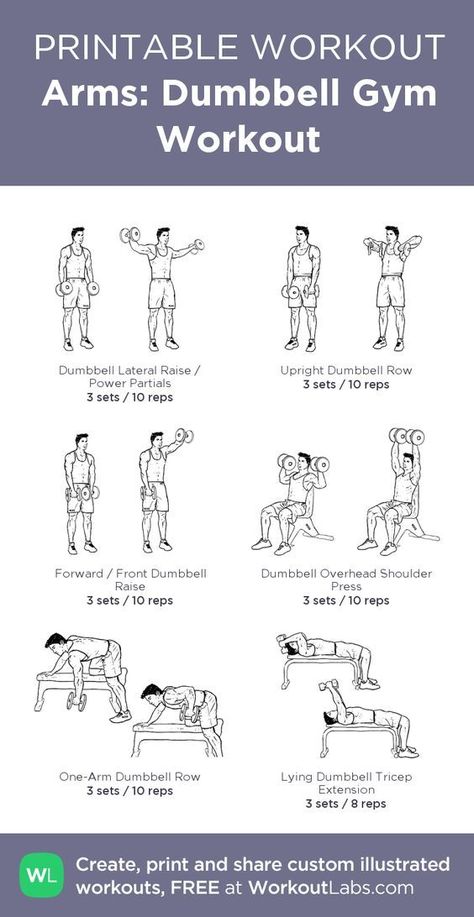 Arms workout: Dumbbell Gym arms Workout: this visual workout help you get your arms stronger fast Arm Workout Men, Arm Workout Gym, Ectomorph Workout, Dumbbell Workout At Home, Home Workout Men, Arm Workouts At Home, Workout Man, Printable Workout, Daily Gym Workout