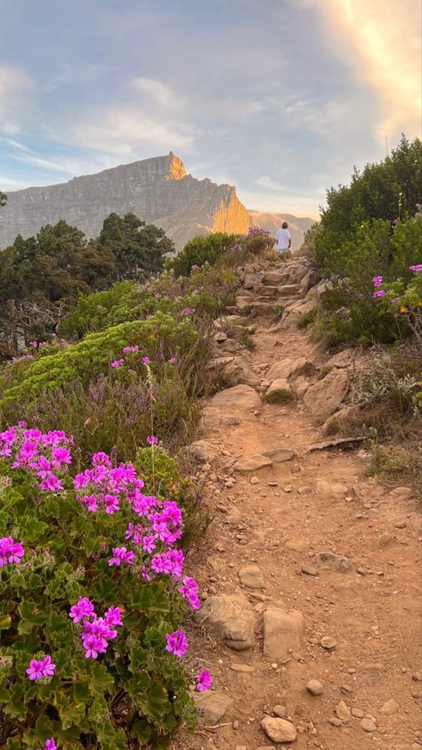 Cape town south africa travel sunset hike lions head table mountain Cape Town South Africa Travel, South Africa Vacation, Africa Sunset, Table Mountain Cape Town, South Africa Photography, Africa Vacation, Happy Mind, Lions Head, South Africa Travel