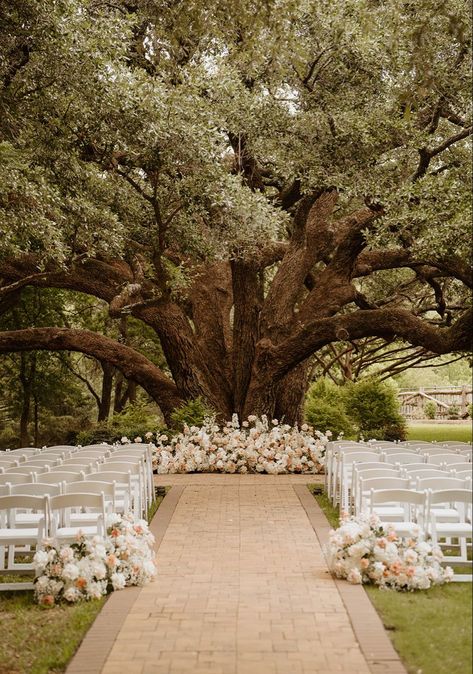 Laid Back Outdoor Wedding, Tree Wedding Ceremony Decoration, Wedding Venue Willow Tree, Plant Wedding Aesthetic, Under Tree Ceremony, Under A Tree Wedding, Outdoor Wedding White Flowers, Gorgeous Wedding Venues Outside, Wedding Ceremony Ideas Simple