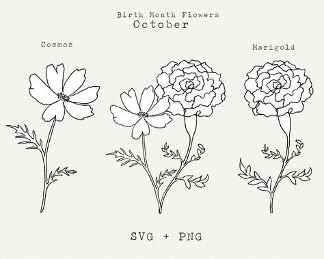 October Birth Flower Bouquet, October Month Flower Tattoo, Birth Month Flower October, Flower Tattoos October, October's Birth Flower, Marigold And Cosmos Flower Drawing, Tattoo October Birth Flower, Marigold And Cosmos Flower Tattoo Sleeve, October Birthday Flower Tattoo