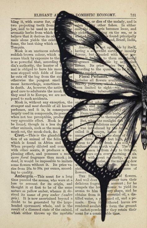 Mariposas Aesthetic, ليلو وستيتش, Vintage Paper Printable, Light Grunge, Grunge Posters, Beautiful Butterflies Art, Butterfly Poster, Book Page Art, Simple Phone Wallpapers